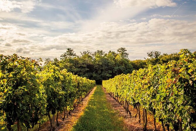 Médoc Region Half-Day Wine Tour with Winery Visit & Tastings from Bordeaux - Route des Châteaux and the Médoc names