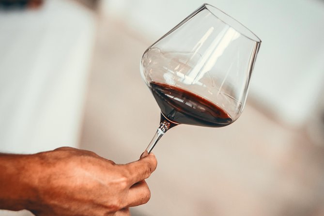 Medoc Region Wine Day Trip with Vineyard Visits & Tastings from Bordeaux - Key points at a glance