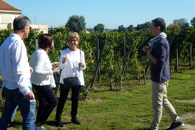 Medoc Region Wine Day Trip with Vineyard Visits & Tastings from Bordeaux - The afternoon comparison in Pauillac or Saint-Estèphe
