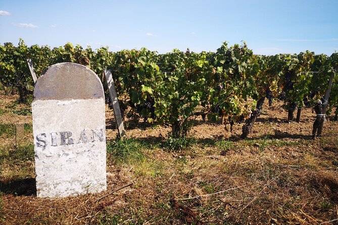 Medoc Region Wine Day Trip with Vineyard Visits & Tastings from Bordeaux - The final classified-growth or Crus Bourgeois stop