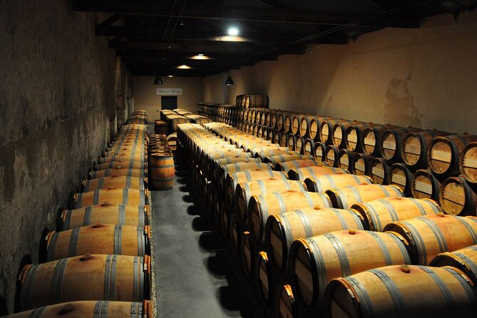 Medoc Region Wine Day Trip with Vineyard Visits & Tastings from Bordeaux - What the $266.16 price really covers