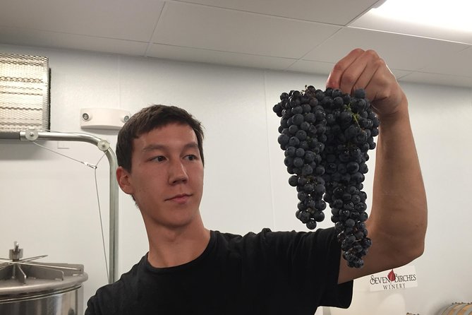 Meet the Winemakers - Seven Birches Winery Tour - The production room makes the tour worthwhile