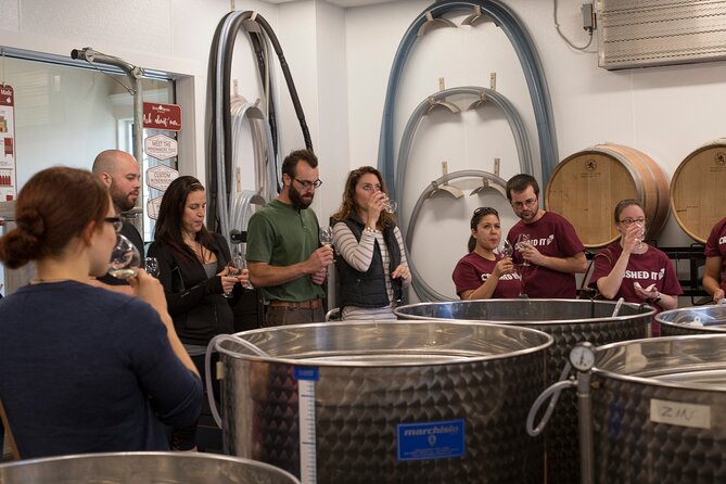 Meet the Winemakers - Seven Birches Winery Tour - How the timing works