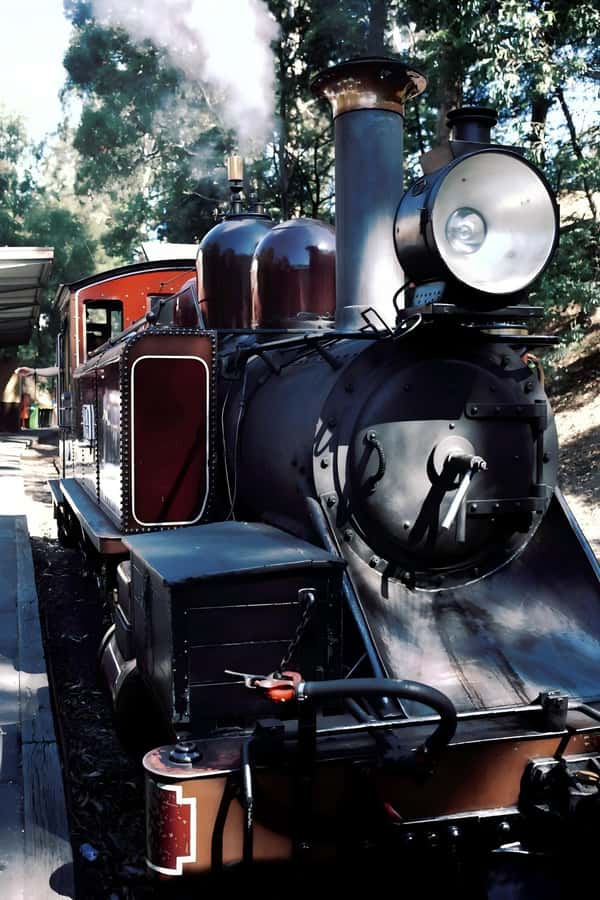 Melbourne: Puffing Billy Train & Healesville & Winery Tour - Healesville Sanctuary: the day’s best wildlife stop
