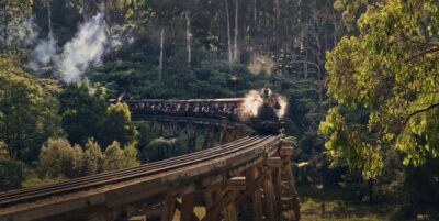 Puffing Billy Train & Healesville & Winery Tour