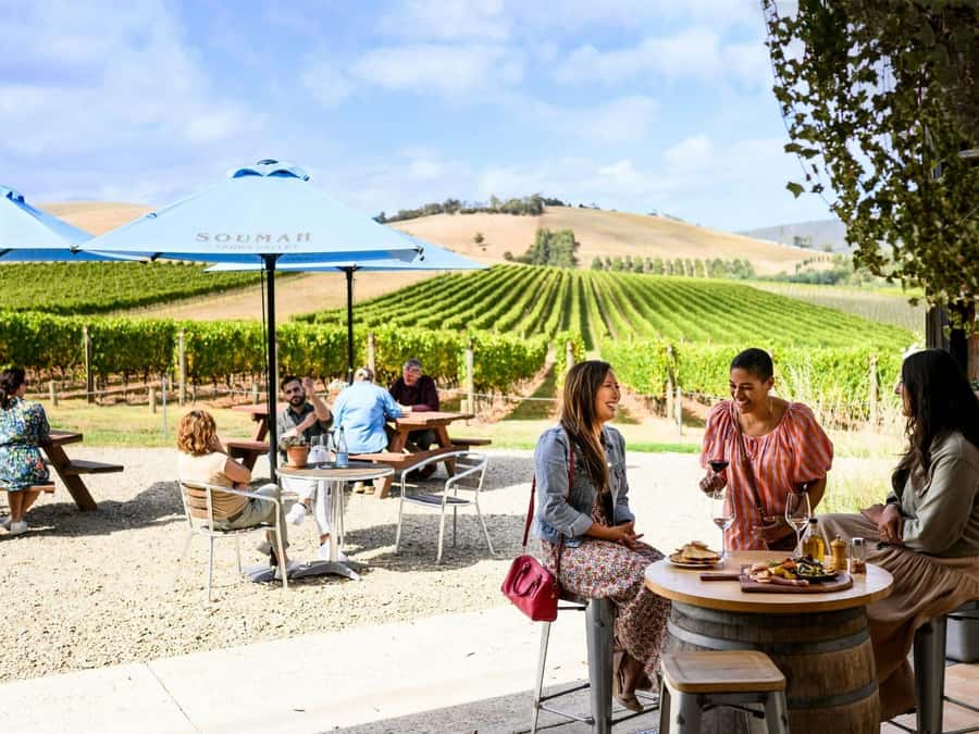 Melbourne: Yarra Valley Half-Day Wine Tour - Why this half-day Yarra Valley tour works