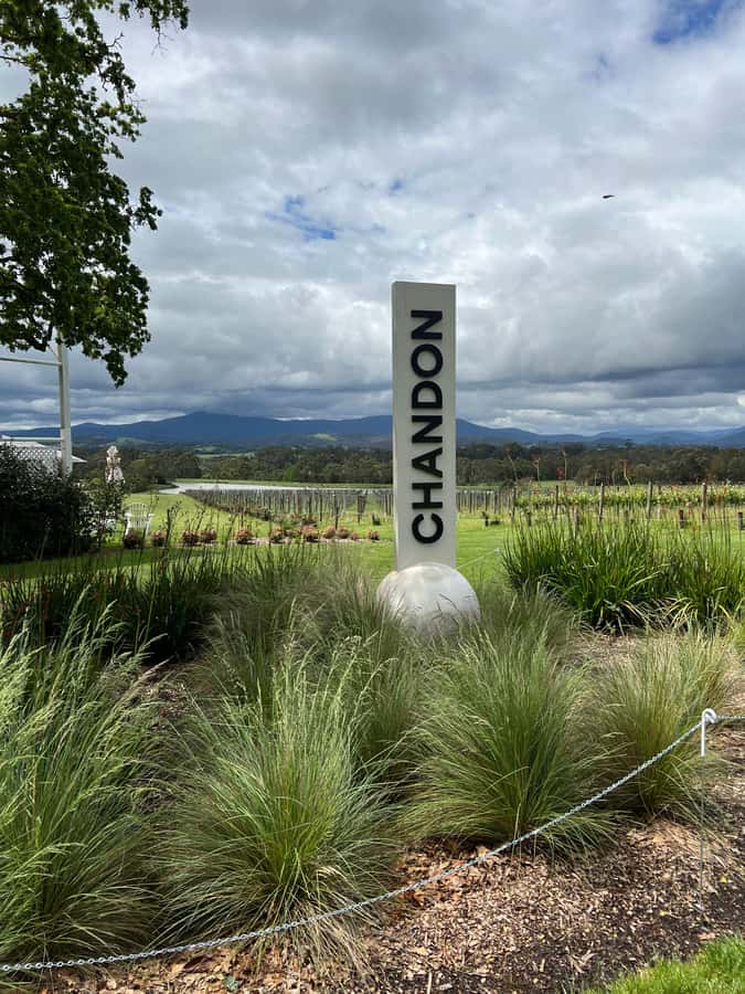 Melbourne: Yarra Valley Wineries Private Day Tour - Yering Station brings history to the first tasting