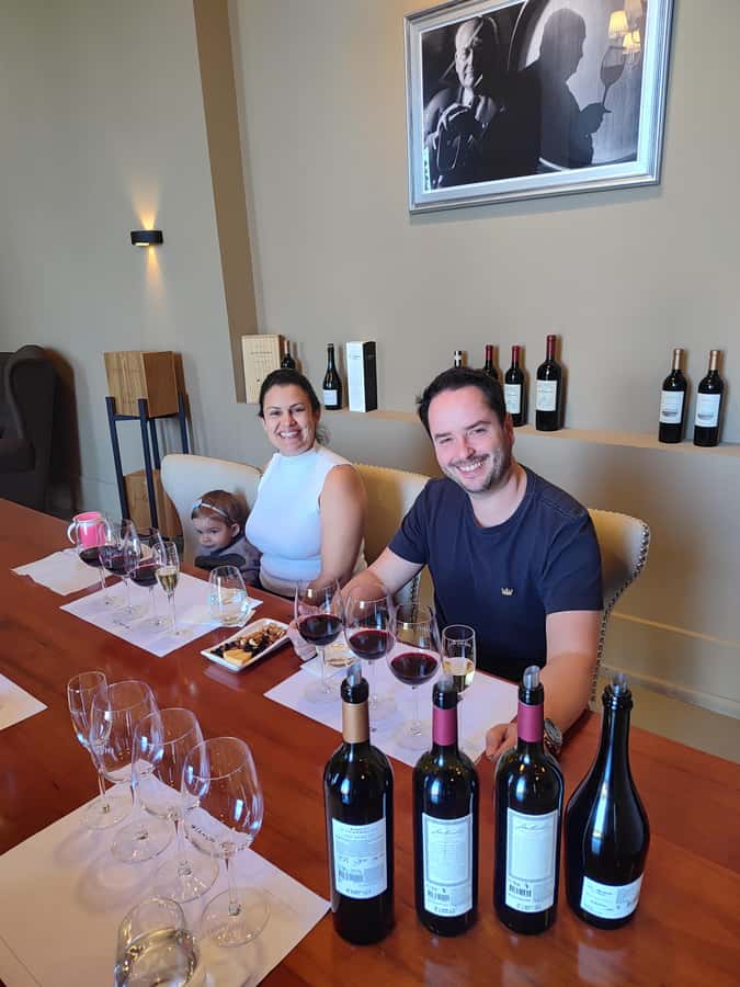 Mendoza's top wineries ! All Inclusive Private Tours! - Your first two winery visits