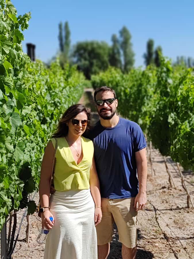Mendoza's top wineries ! All Inclusive Private Tours! - Starting early in Mendoza’s wine country