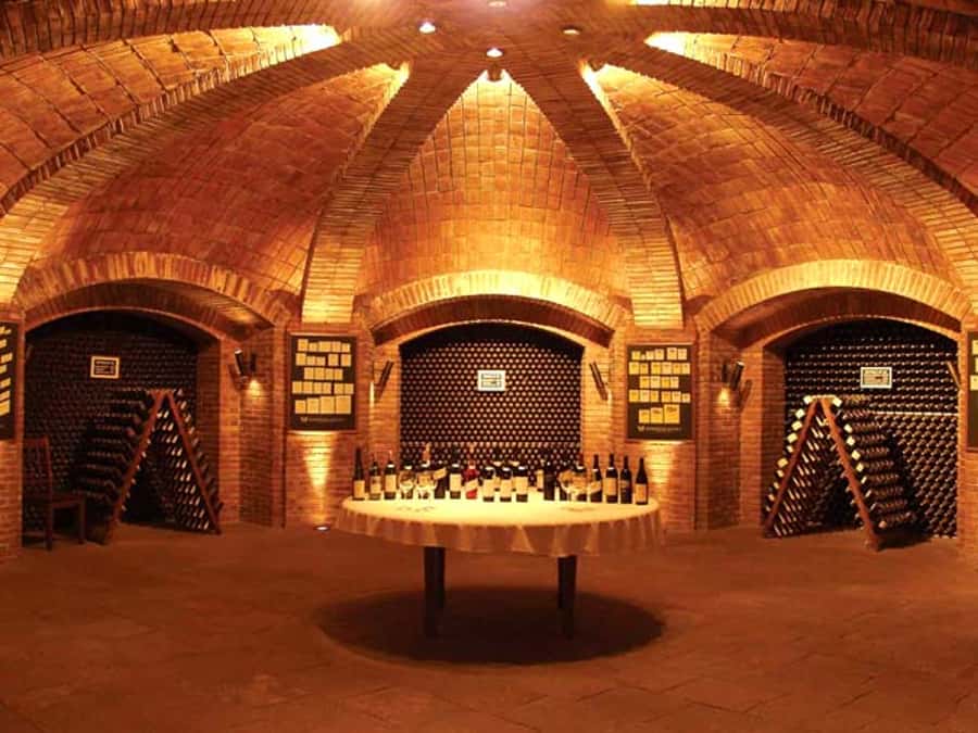 Mendoza: Small-Group Wineries Tour with Tasting and Lunch - Key Points Before You Book