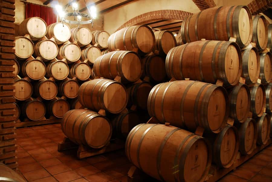 Mendoza: Small-Group Wineries Tour with Tasting and Lunch - From Desert Plain to Mendoza Vineyards