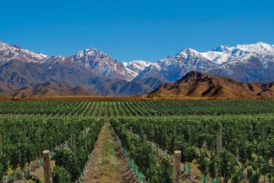 Small-Group Wineries Tour with Tasting and Lunch