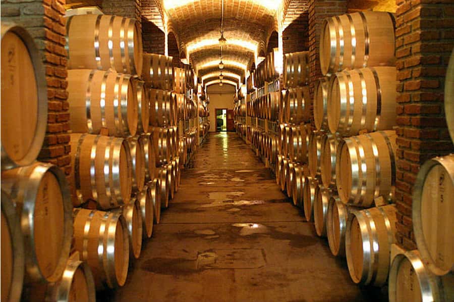 Mendoza: Small-Group Wineries Tour with Tasting and Lunch - Who Should Choose This Mendoza Wine Day?