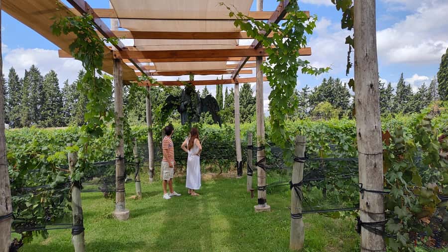 Mendoza: Top Wineries Guided Tour with Transportation - Key points to know before you book