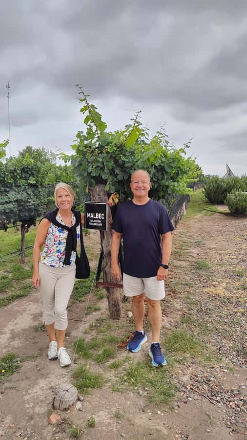 Mendoza: Top Wineries Guided Tour with Transportation - Three wineries, not three copies of the same tour