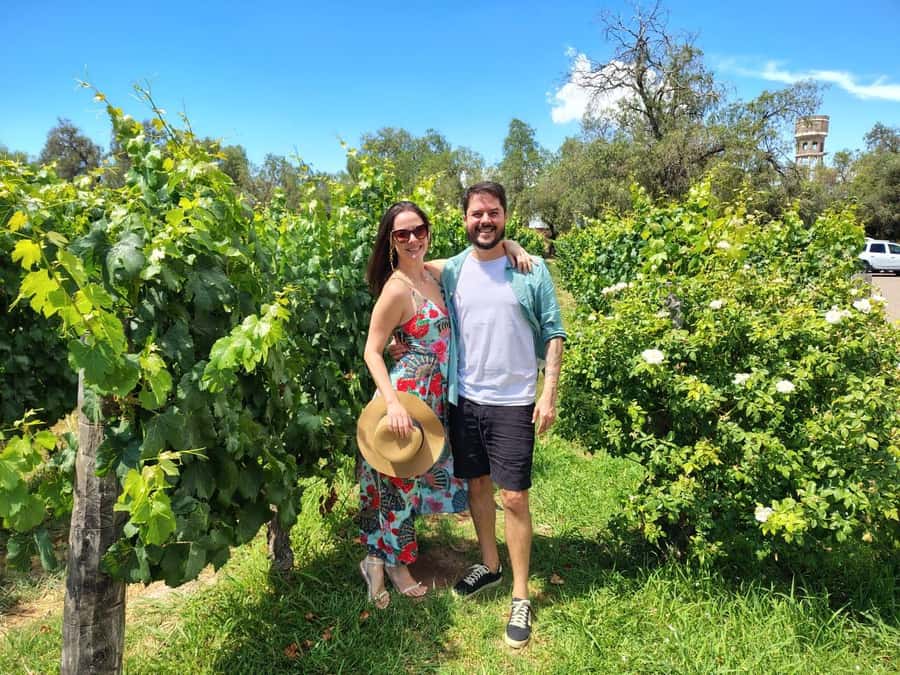 Mendoza: Top Wineries Guided Tour with Transportation - The guide can shape the whole day