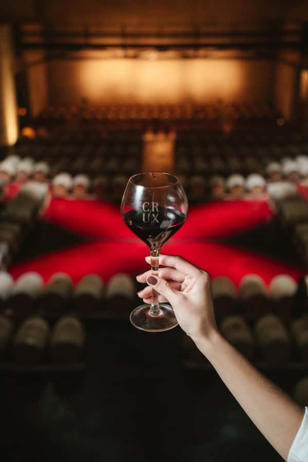 Mendoza: Tour with tasting and lunch High Altitude Wineries - Timing, languages, and who should book
