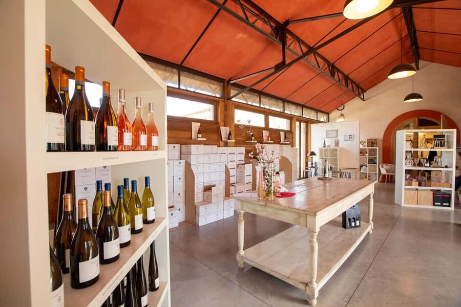 Mèze: Domaine Saint André Vineyard Guided Tour with Tasting - Walking through the vineyard and terroir