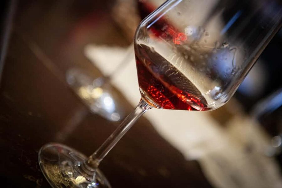 Mezzocorona: Teroldego Vineyard Tour and Wine Tasting - Key points at a glance