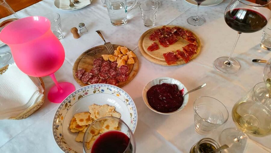 Mezzocorona: Teroldego Vineyard Tour and Wine Tasting - Three wines, from Alpine sparkling to Dolomites reds