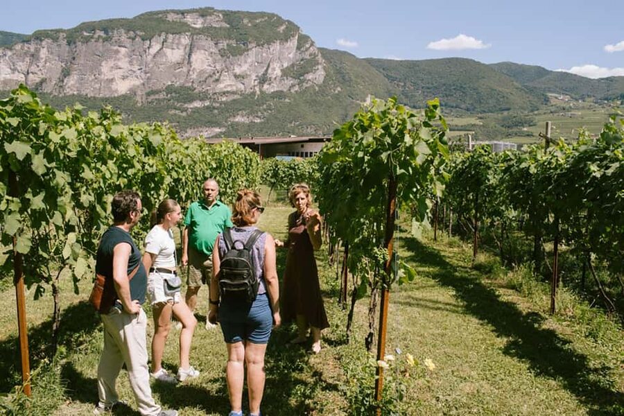 Mezzocorona: Teroldego Vineyard Tour and Wine Tasting - Nadia’s personal style is part of the appeal