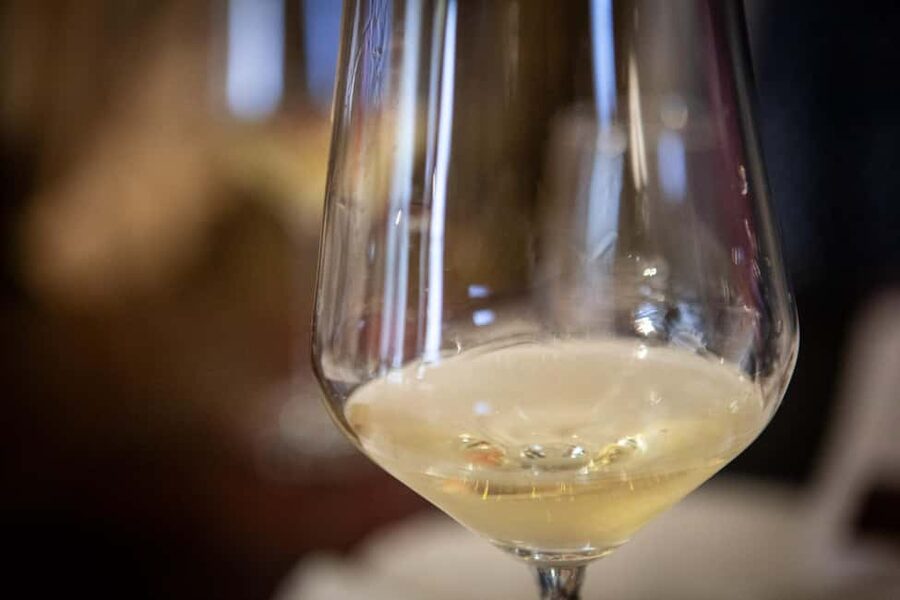 Mezzocorona: Teroldego Vineyard Tour and Wine Tasting - Is two hours enough?