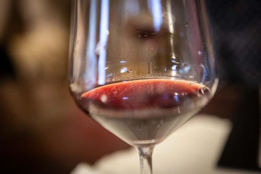 Mezzocorona: Teroldego Vineyard Tour and Wine Tasting - The $77 price and what you receive