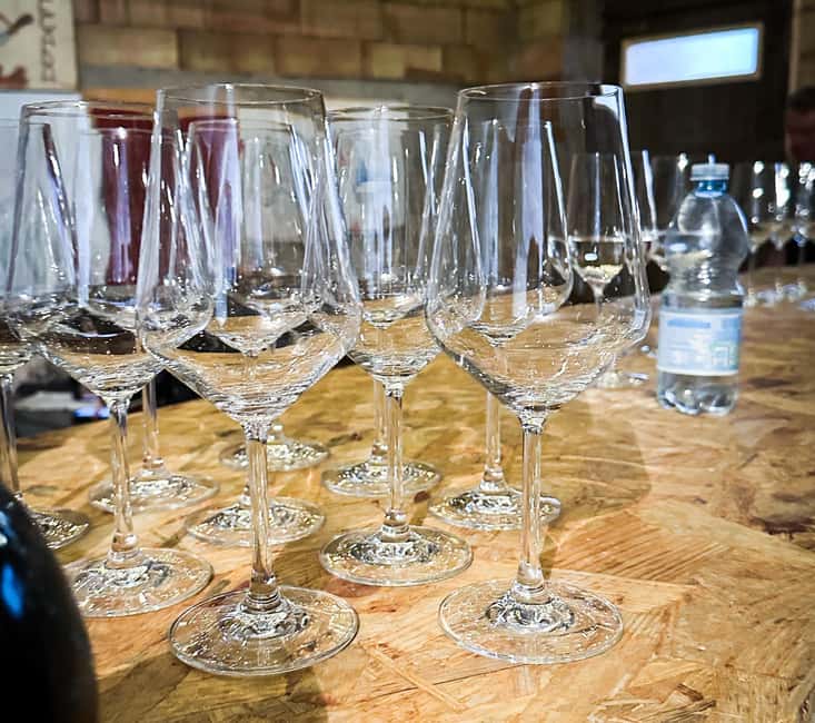 Mezzocorona: Teroldego Vineyard Tour and Wine Tasting - Who will enjoy this experience most?