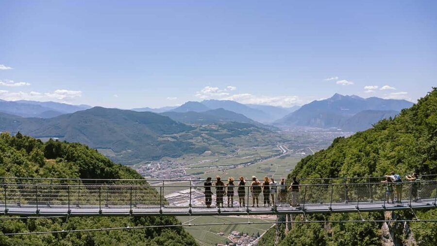 Mezzocorona: vineyard Tour on Mount and tasting of 3 wines - Key points to know before booking