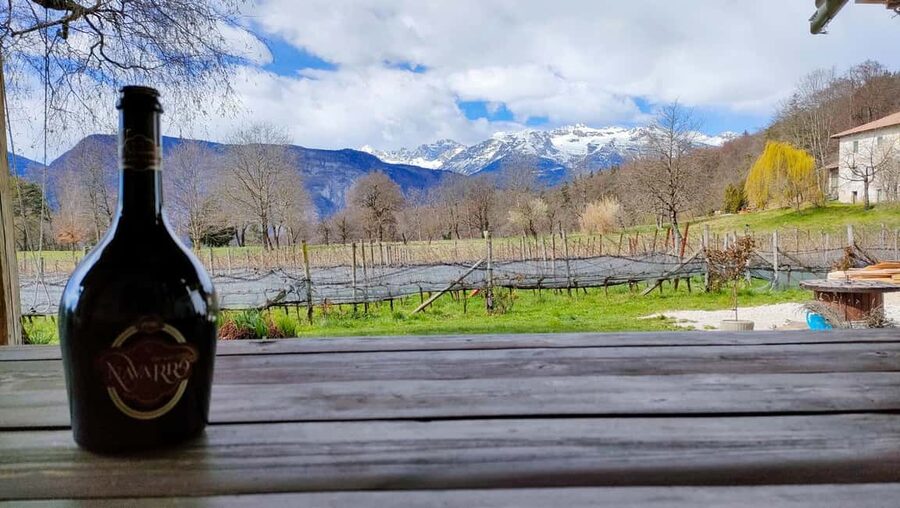 Mezzocorona: vineyard Tour on Mount and tasting of 3 wines - How the guiding works in practice