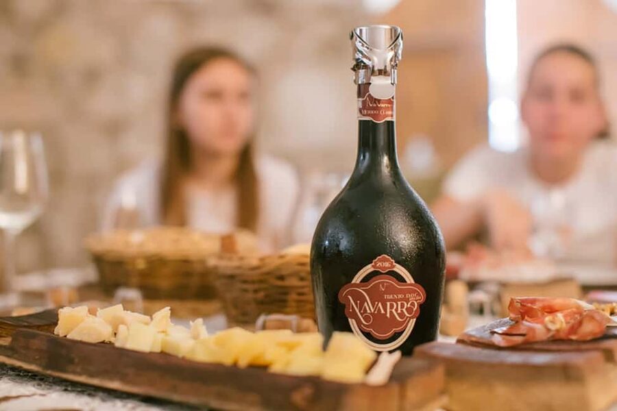 Mezzocorona: Wine Tasting and Cellar Tour with Aperitif - Should You Book This Mezzocorona Wine Tasting?