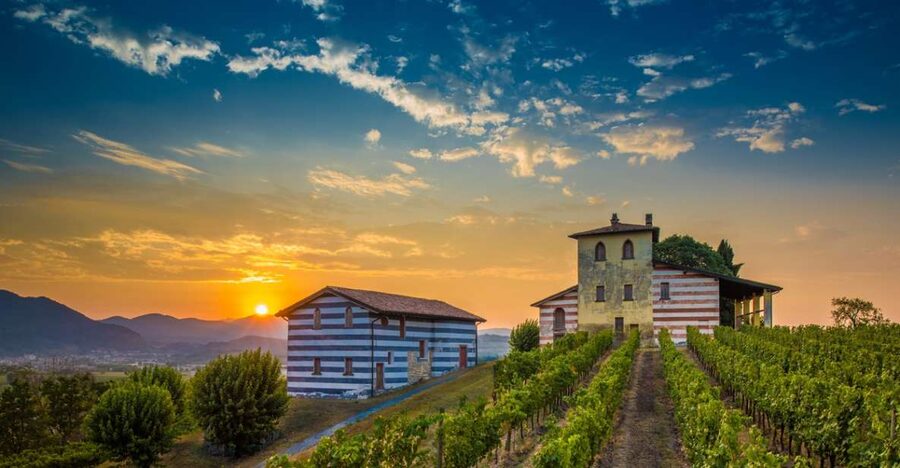 Milan: Franciacorta Winery and Bergamo Day Trip with Lunch - Practical details that affect your day