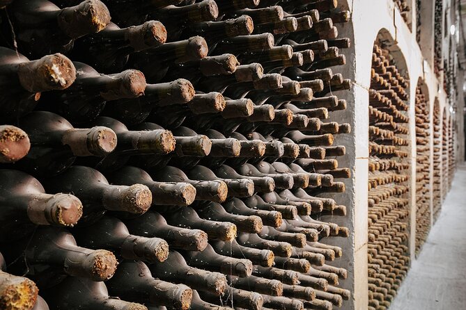 Milestii Mici Underground Winery Tour INCLUDING Wine tasting - Who should book this Milestii Mici tour