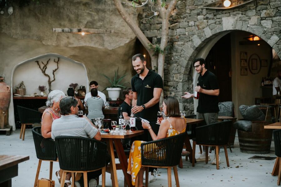 Milos Island: Kostantakis Winery Wine Tasting Experience - Walking through the vineyard and winemaking area