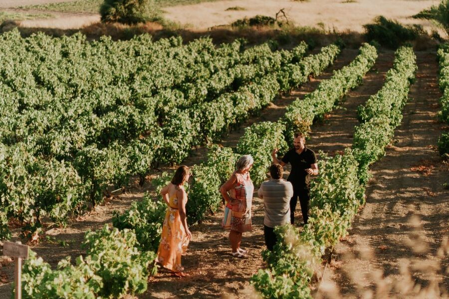 Milos Island: Kostantakis Winery Wine Tasting Experience - Is $68 a fair price?