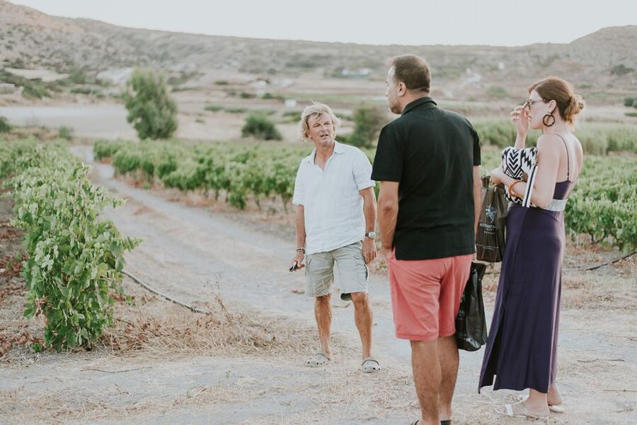 Milos Island: Kostantakis Winery Wine Tasting Experience - Who should book this experience?