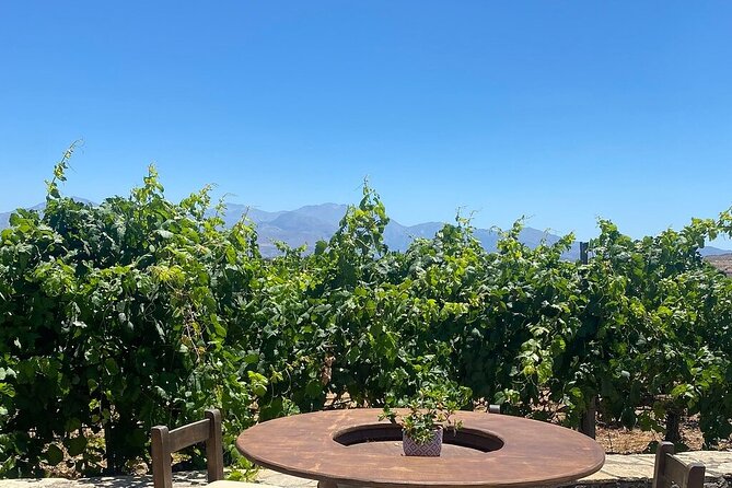 Minoan Crete: Knossos Palace, Winery Visit and Lunch at Peza - What to bring and how to plan