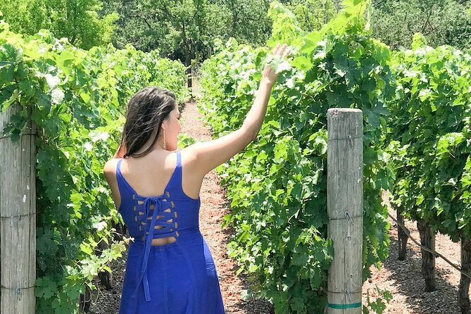 Minoan Crete: Knossos Palace, Winery Visit and Lunch at Peza - Who should book this experience?