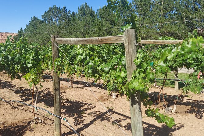 Moab Back Roads, History and Winery E-Bike Tour - Back roads, neighborhoods, and Moab stories