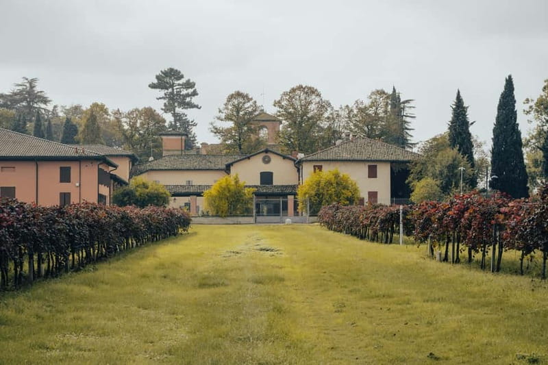 Modena: Cellar Tour & Lambrusco Tasting in Castelvetro - Key points to know before you book
