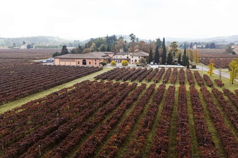 Modena: Cellar Tour & Lambrusco Tasting in Castelvetro - Why Castelvetro is the right place for a Lambrusco tasting
