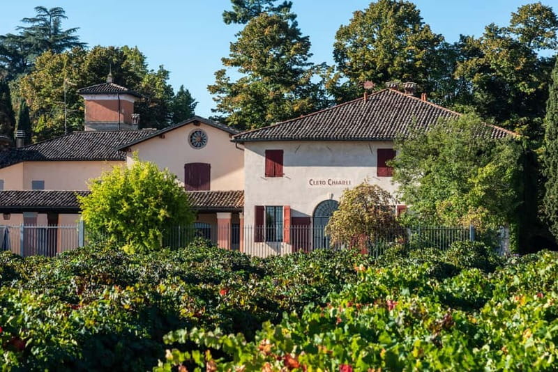 Modena: Cellar Tour & Lambrusco Tasting in Castelvetro - The 30-minute tour of the winery and vineyards