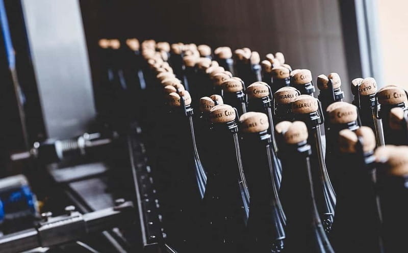 Modena: Cellar Tour & Lambrusco Tasting in Castelvetro - Starting at Via Belvedere, 8