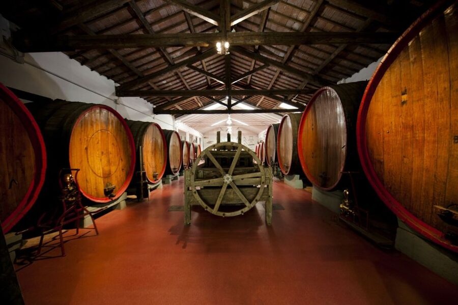 Modena: Lambrusco Wine Tasting and Cellar Tour - What makes this more than a standard tasting