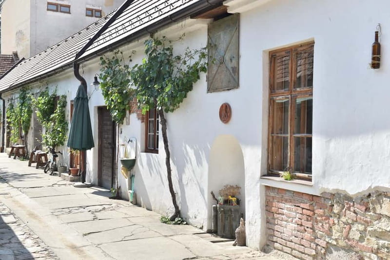 Modra: Private wine tasting guided by winery owner - Local food that does more than decorate the table