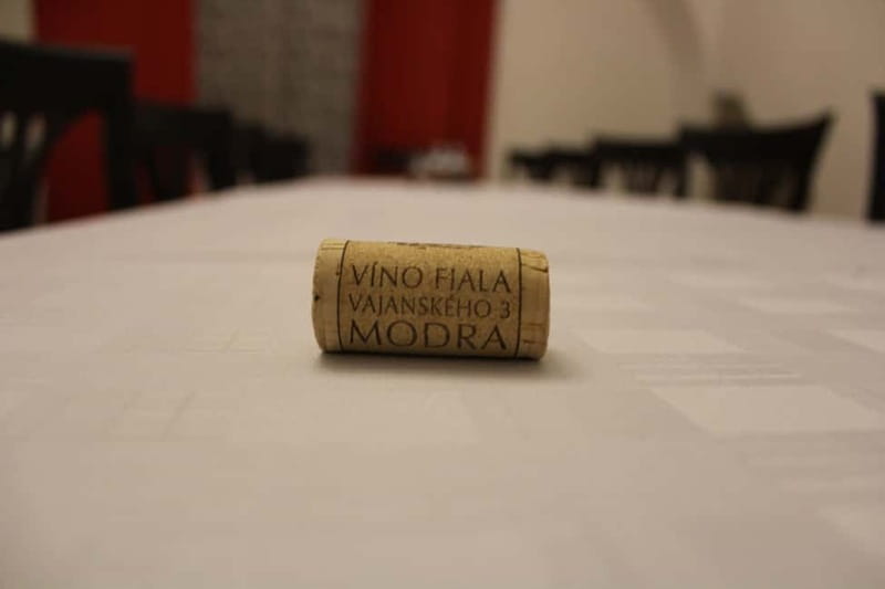 Modra: Private wine tasting guided by winery owner - Martin’s role makes the difference