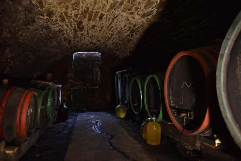 Modra: Private wine tasting guided by winery owner - What you get for $53 per person