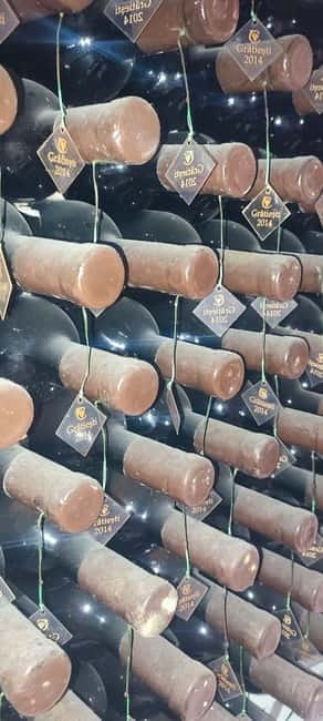 Moldova: Wine Tour to Mileștii Mici Cellar with Tasting - Practical tips for a better visit