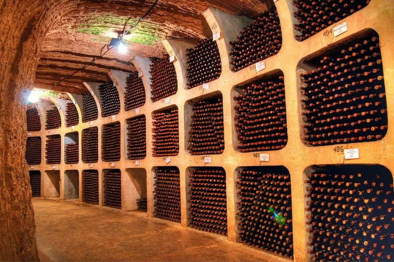 Moldova: Wine Tour to Mileștii Mici Cellar with Tasting - Who will enjoy this cellar tour most