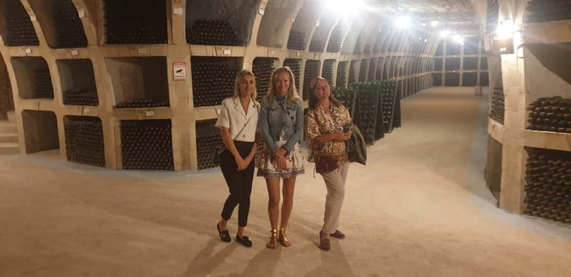 Moldova: Wine Tour to Mileștii Mici Cellar with Tasting - The 30-minute ride from Chișinău